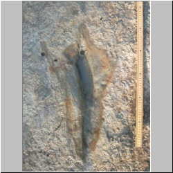 102_6631 (2013-08-11)mod2.JPG